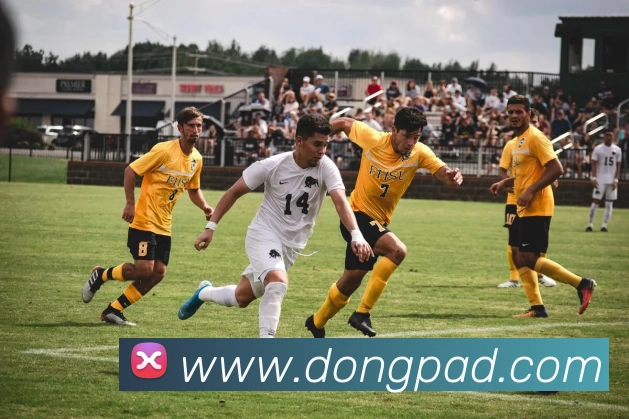 多媒体互动体验